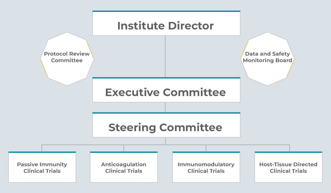 Institute Director; Executive Committee; Steering Committee; Passive Immunity Clinical Trials Expert Panel, Anticoagulation Clinical Trials Expert Panel, Immunomodulatory Clinical Trials Expert Panel, Host-Tissue Directed Clinical Trials Expert Panel. Protocol Review Committee. Data and Safety Monitoring Board.